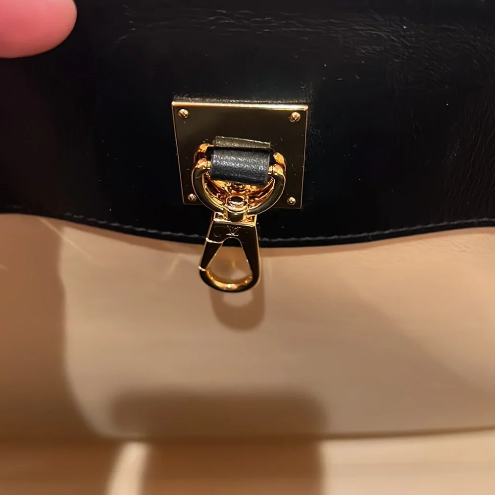Louis Vuitton City Steamer MM Vani/Noir - Picture 11 of 16
